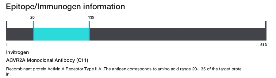 ACVR2A Monoclonal Antibody (C11)