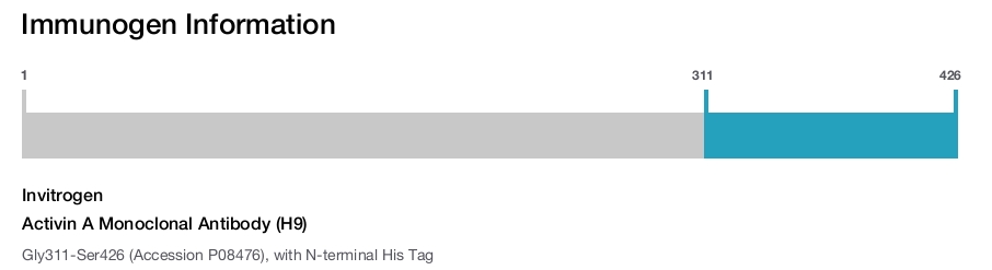 Activin A Monoclonal Antibody (H9)