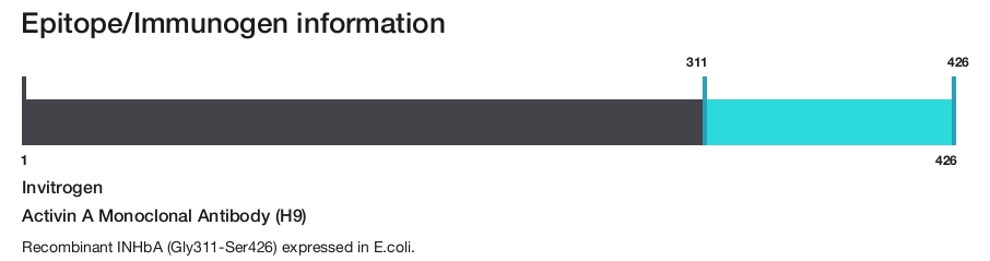 Activin A Monoclonal Antibody (H9)