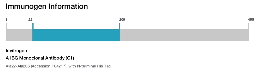 A1BG Monoclonal Antibody (C1)