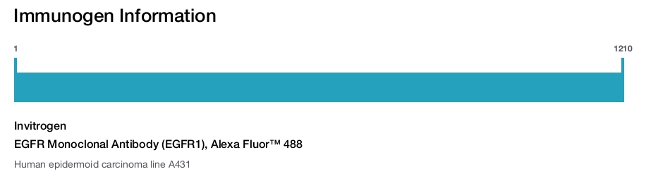 EGFR Monoclonal Antibody (EGFR1), Alexa Fluor™ 488