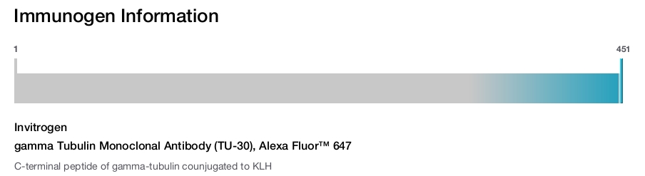 gamma Tubulin Monoclonal Antibody (TU-30), Alexa Fluor™ 647