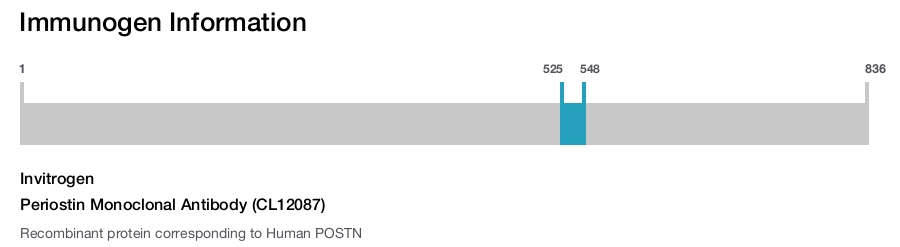 Periostin Monoclonal Antibody (CL12087)