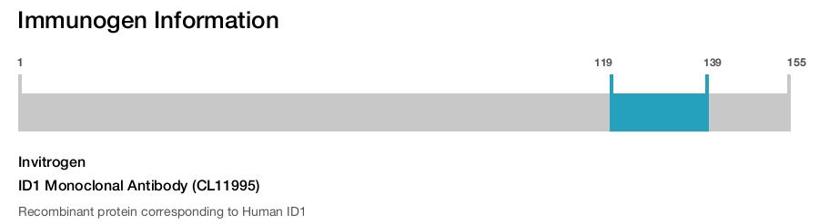 ID1 Monoclonal Antibody (CL11995)
