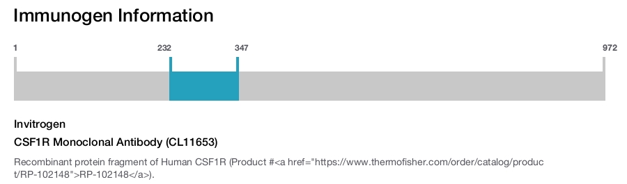 CSF1R Monoclonal Antibody (CL11653)