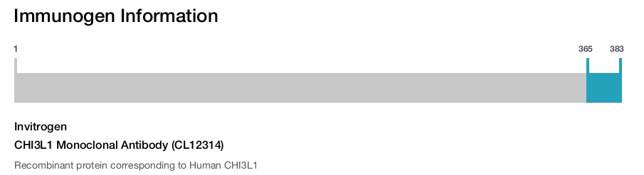 CHI3L1 Monoclonal Antibody (CL12314)