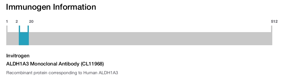ALDH1A3 Monoclonal Antibody (CL11968)
