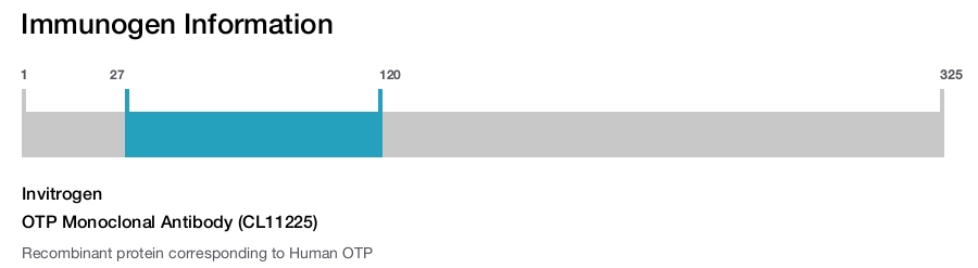 OTP Monoclonal Antibody (CL11225)