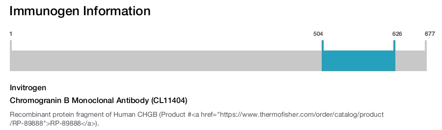 Chromogranin B Monoclonal Antibody (CL11404)