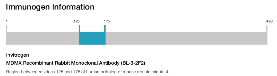 MDMX Recombinant Rabbit Monoclonal Antibody (BL-3-2F2)