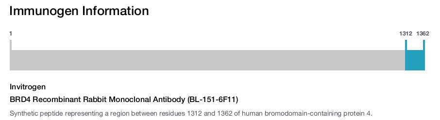 BRD4 Recombinant Rabbit Monoclonal Antibody (BL-151-6F11)