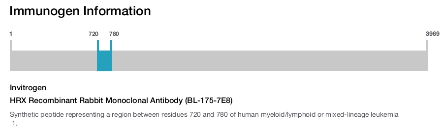HRX Recombinant Rabbit Monoclonal Antibody (BL-175-7E8)