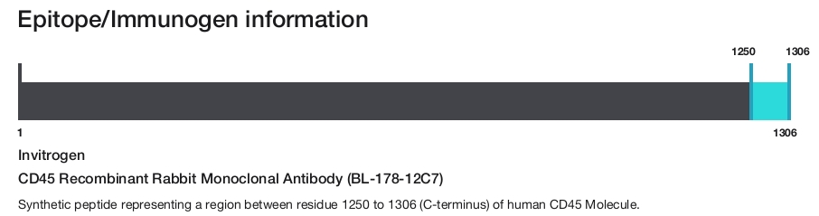 CD45 Recombinant Rabbit Monoclonal Antibody (BL-178-12C7)