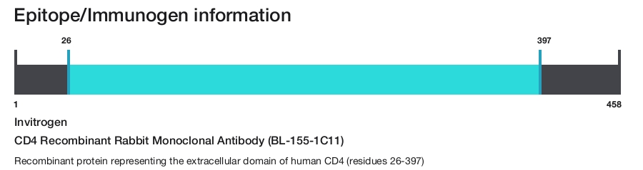 CD4 Recombinant Rabbit Monoclonal Antibody (BL-155-1C11)