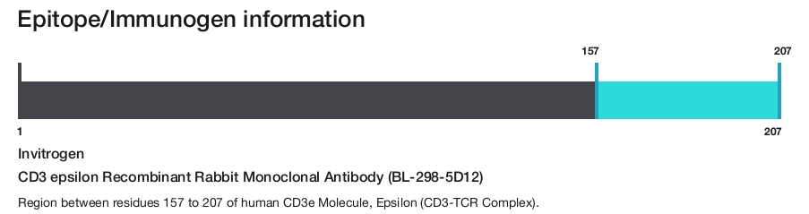 CD3 epsilon Recombinant Rabbit Monoclonal Antibody (BL-298-5D12)