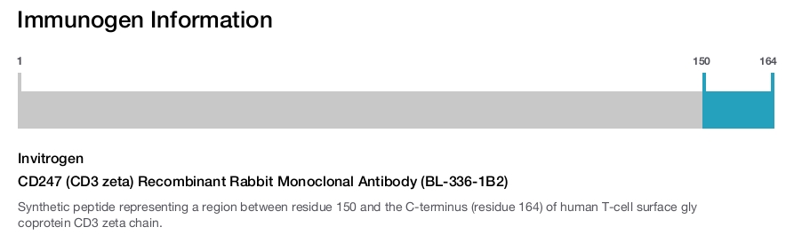 CD247 (CD3 zeta) Recombinant Rabbit Monoclonal Antibody (BL-336-1B2)