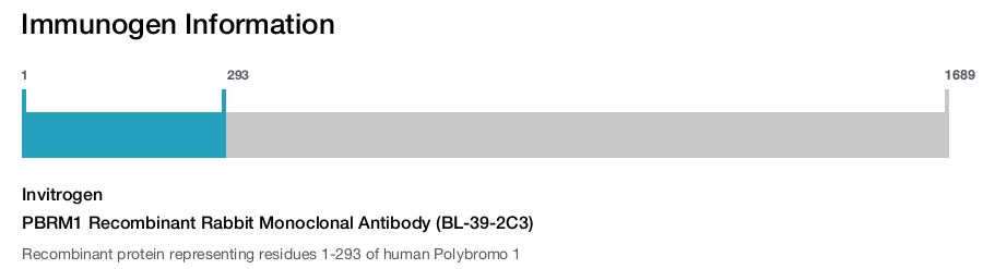 PBRM1 Recombinant Rabbit Monoclonal Antibody (BL-39-2C3)