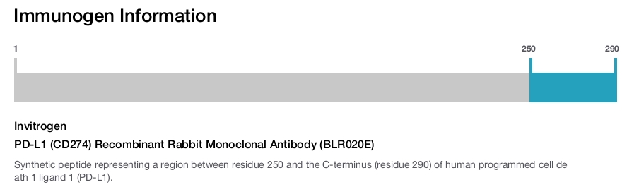 PD-L1 (CD274) Recombinant Rabbit Monoclonal Antibody (BLR020E)