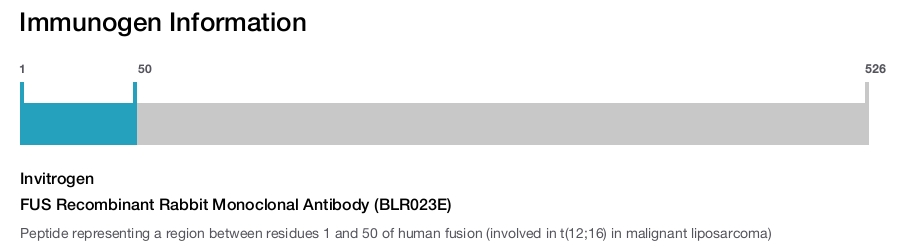 FUS Recombinant Rabbit Monoclonal Antibody (BLR023E)