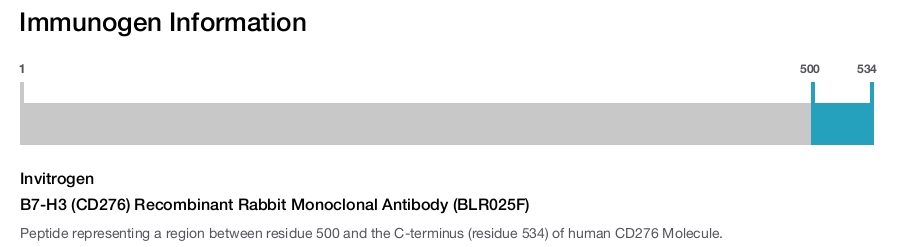 B7-H3 (CD276) Recombinant Rabbit Monoclonal Antibody (BLR025F)