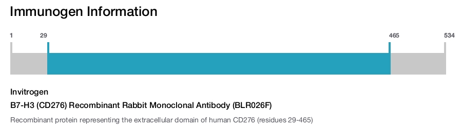 B7-H3 (CD276) Recombinant Rabbit Monoclonal Antibody (BLR026F)