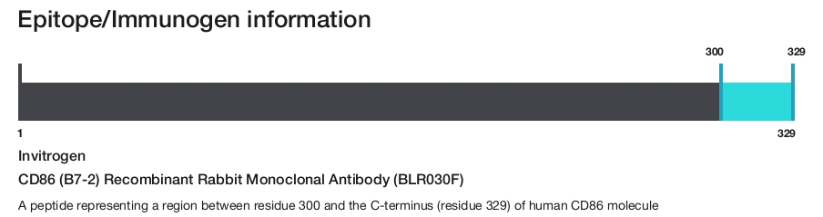 CD86 (B7-2) Recombinant Rabbit Monoclonal Antibody (BLR030F)