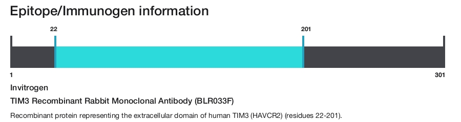 TIM3 Recombinant Rabbit Monoclonal Antibody (BLR033F)