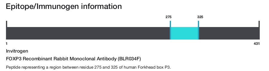 FOXP3 Recombinant Rabbit Monoclonal Antibody (BLR034F)