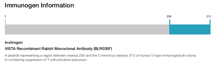 VISTA Recombinant Rabbit Monoclonal Antibody (BLR035F)