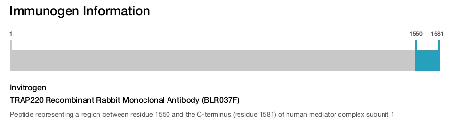 TRAP220 Recombinant Rabbit Monoclonal Antibody (BLR037F)