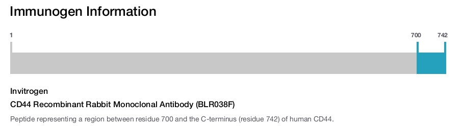 CD44 Recombinant Rabbit Monoclonal Antibody (BLR038F)