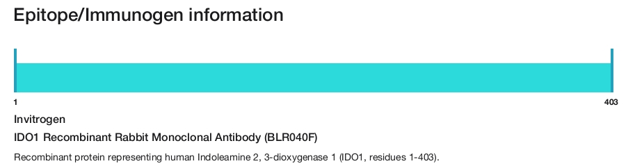 IDO1 Recombinant Rabbit Monoclonal Antibody (BLR040F)