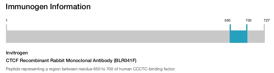 CTCF Recombinant Rabbit Monoclonal Antibody (BLR041F)