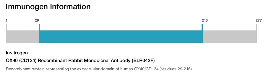 OX40 (CD134) Recombinant Rabbit Monoclonal Antibody (BLR042F)