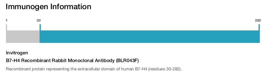 B7-H4 Recombinant Rabbit Monoclonal Antibody (BLR043F)