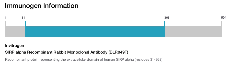 SIRP alpha Recombinant Rabbit Monoclonal Antibody (BLR049F)