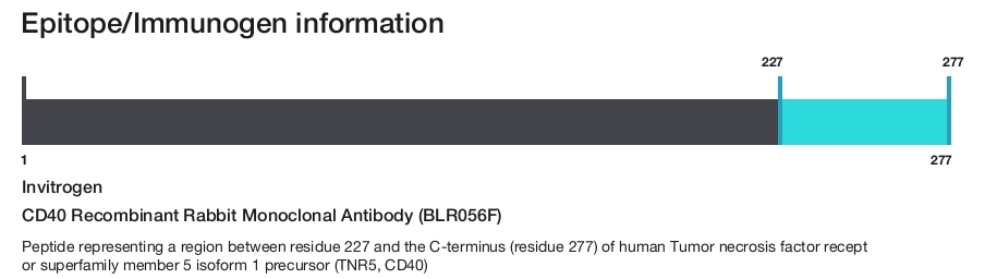 CD40 Recombinant Rabbit Monoclonal Antibody (BLR056F)