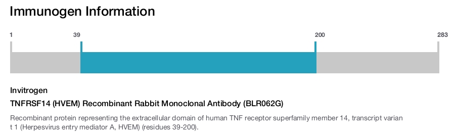 TNFRSF14 (HVEM) Recombinant Rabbit Monoclonal Antibody (BLR062G)