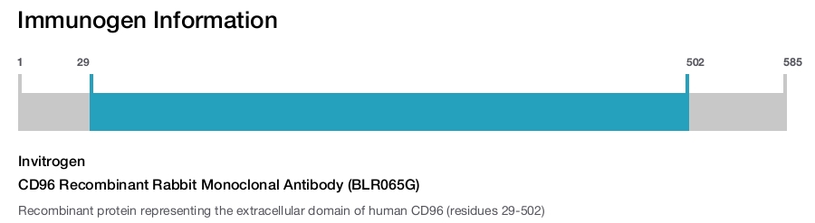 CD96 Recombinant Rabbit Monoclonal Antibody (BLR065G)