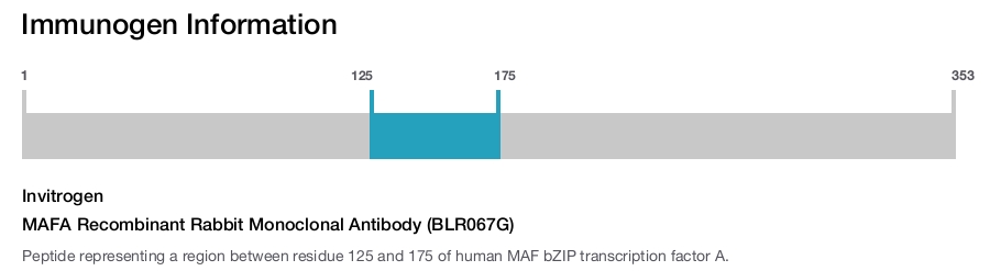 MAFA Recombinant Rabbit Monoclonal Antibody (BLR067G)