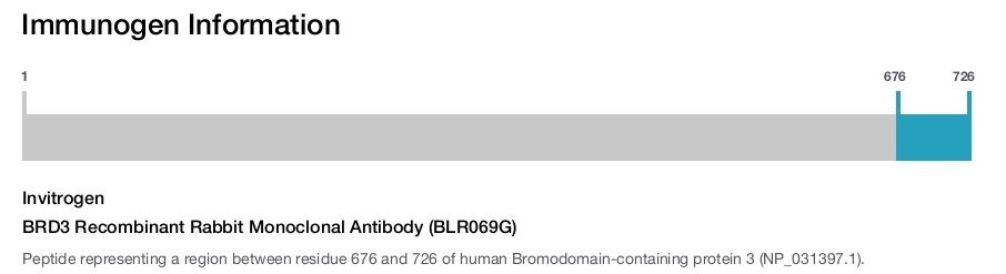 BRD3 Recombinant Rabbit Monoclonal Antibody (BLR069G)