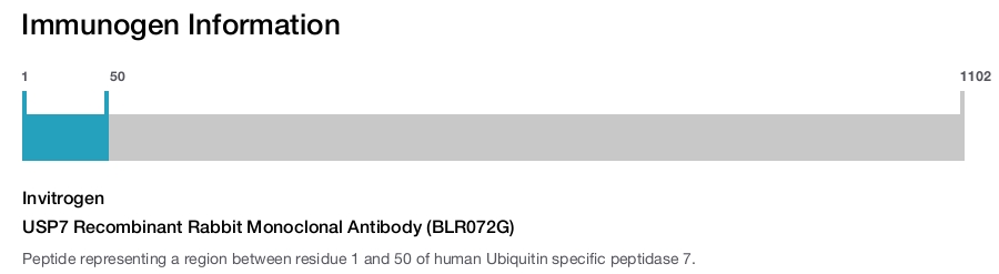 USP7 Recombinant Rabbit Monoclonal Antibody (BLR072G)