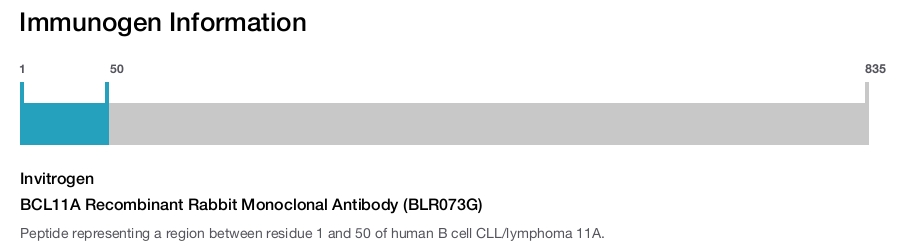 BCL11A Recombinant Rabbit Monoclonal Antibody (BLR073G)