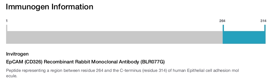 EpCAM (CD326) Recombinant Rabbit Monoclonal Antibody (BLR077G)