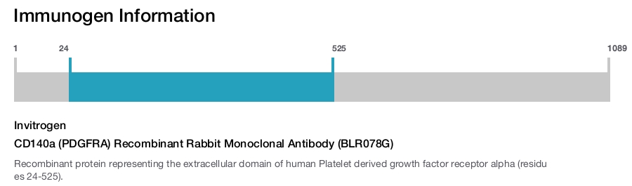 CD140a (PDGFRA) Recombinant Rabbit Monoclonal Antibody (BLR078G)