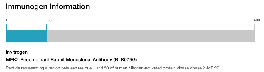 MEK2 Recombinant Rabbit Monoclonal Antibody (BLR079G)