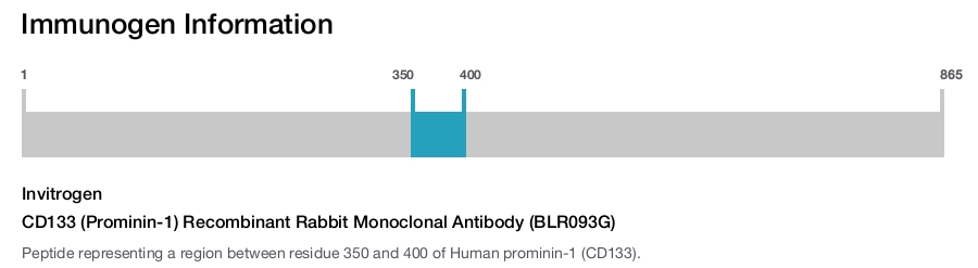 CD133 (Prominin-1) Recombinant Rabbit Monoclonal Antibody (BLR093G)
