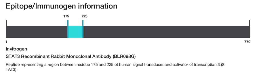 STAT3 Recombinant Rabbit Monoclonal Antibody (BLR098G)