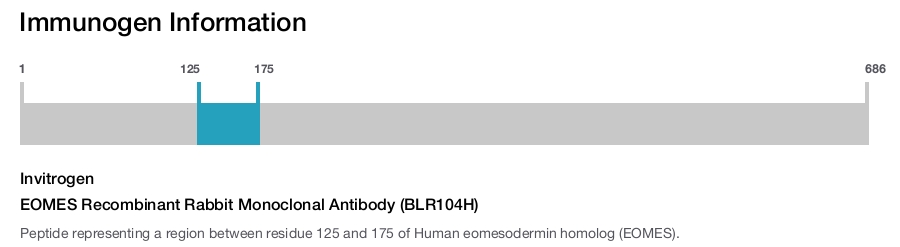 EOMES Recombinant Rabbit Monoclonal Antibody (BLR104H)