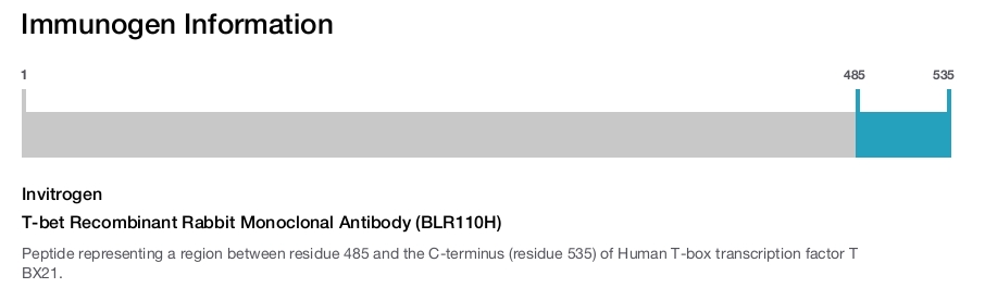 T-bet Recombinant Rabbit Monoclonal Antibody (BLR110H)